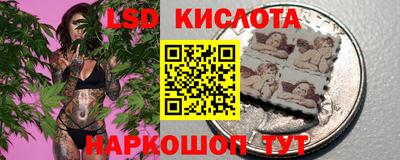 стафф Будённовск