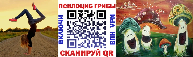 Галлюциногенные грибы GOLDEN TEACHER  Гурьевск 