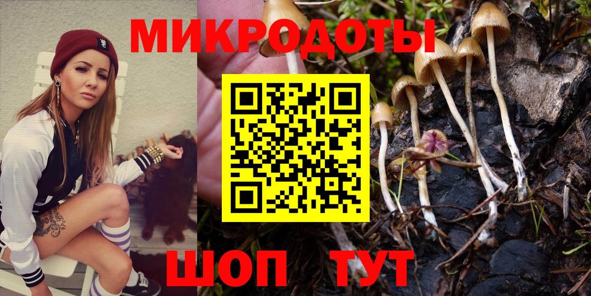 Галлюциногенные грибы MAGIC MUSHROOMS Гурьевск