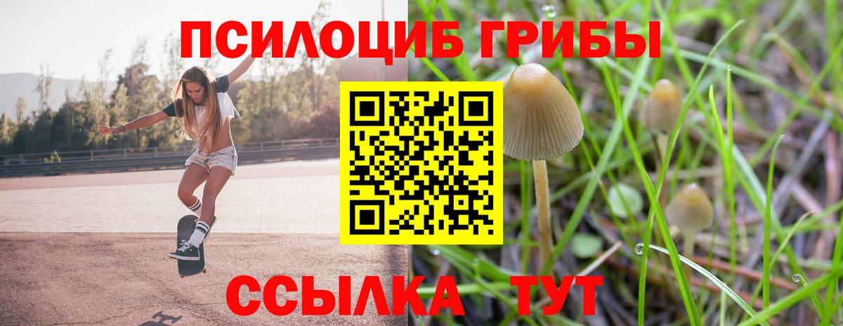 как найти закладки  Галлюциногенные грибы мицелий  Гурьевск  Вход с VPN  Галлюциногенные грибы Psilocybe 